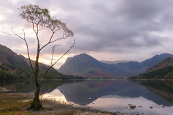 Daybreak At Buttermere