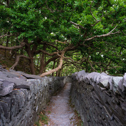 The Path To The Next Corner