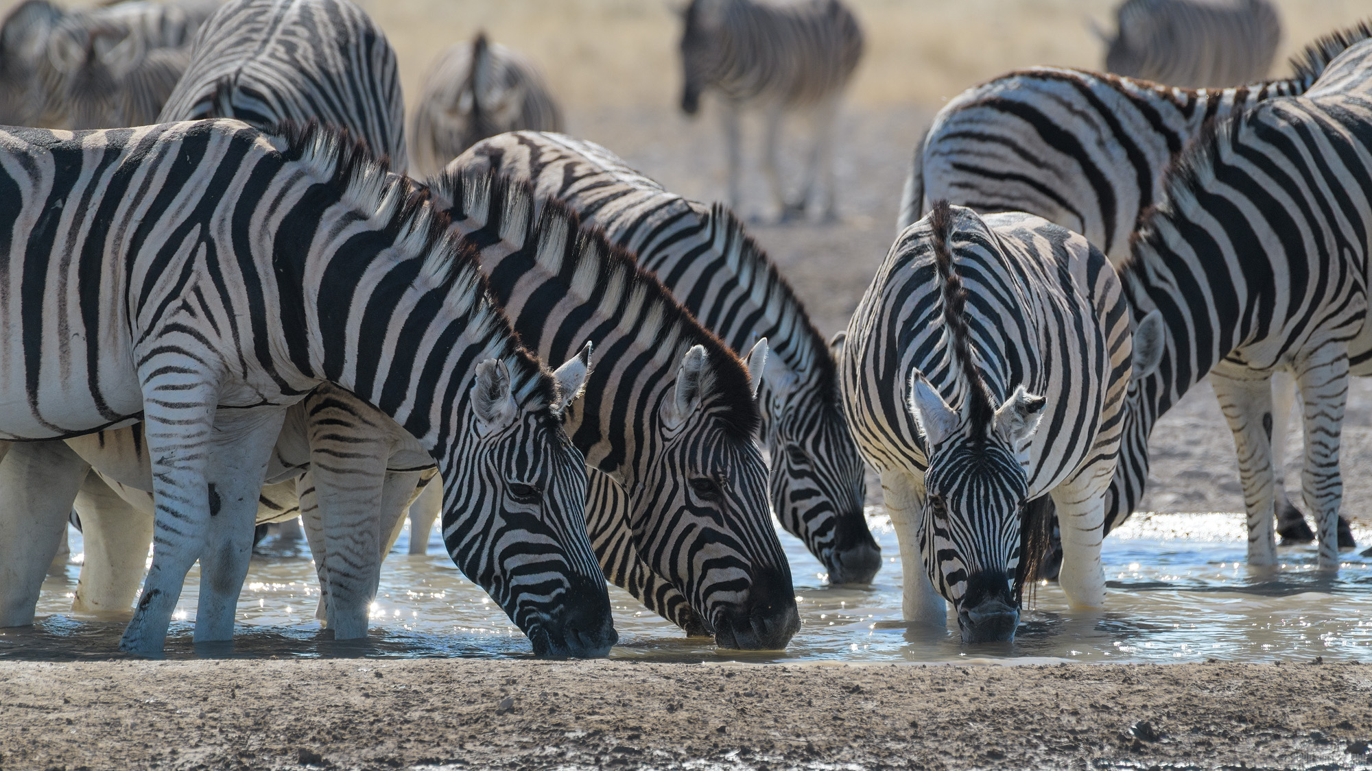 Heads Down
