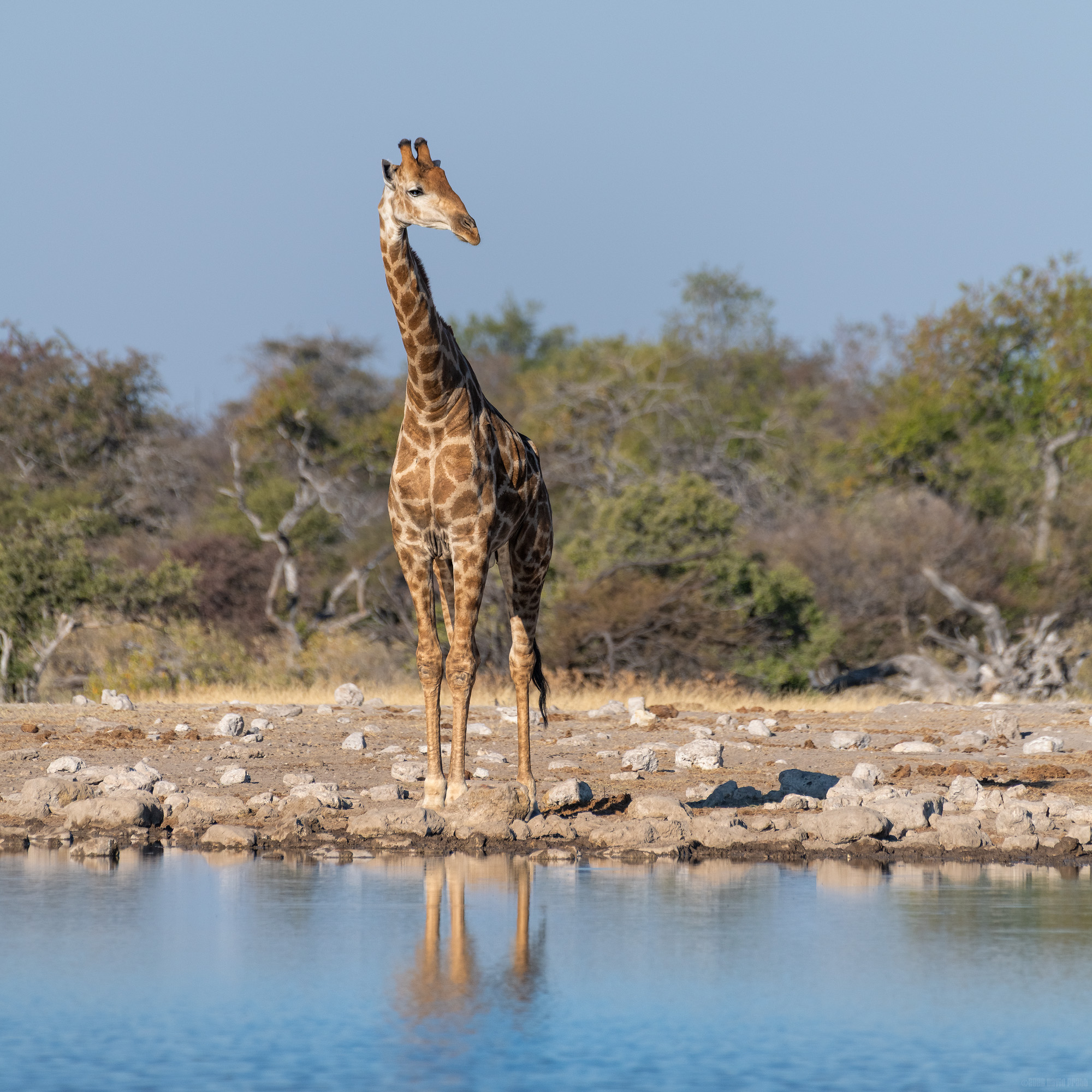 Thinking About Drinking