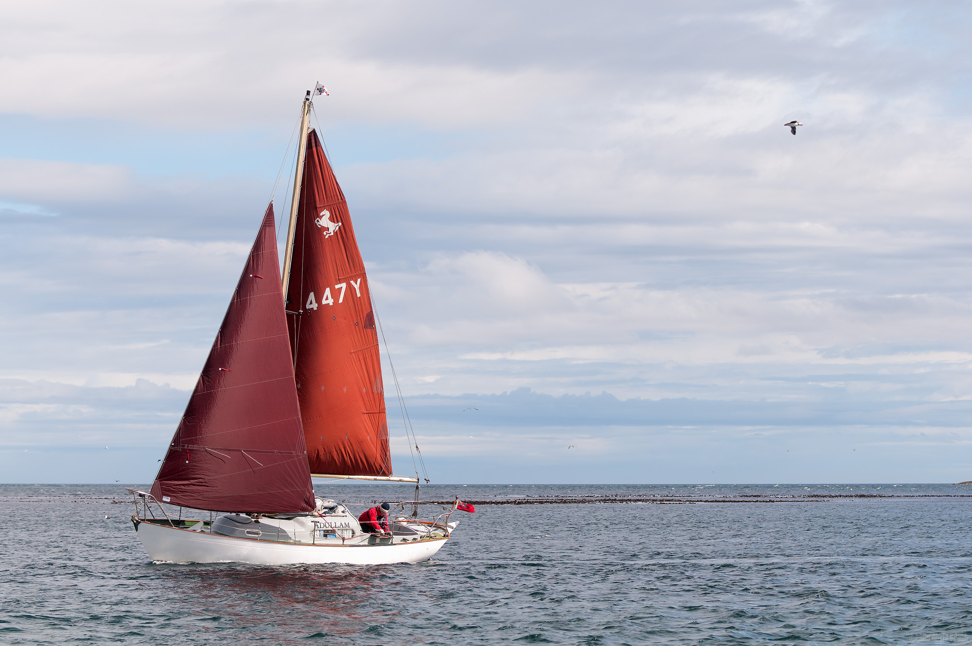 Trimming The Sails