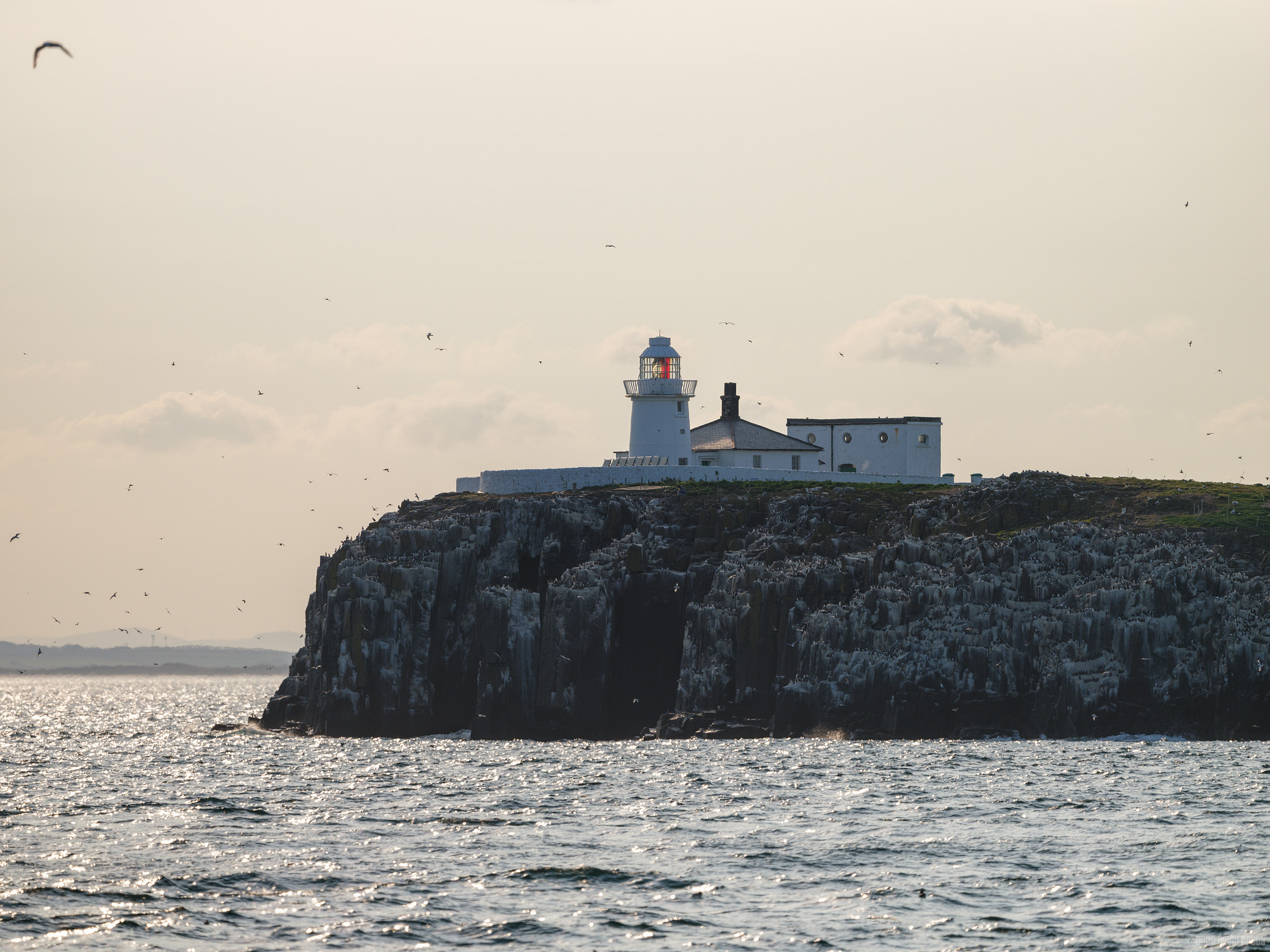Farne Lighthouse