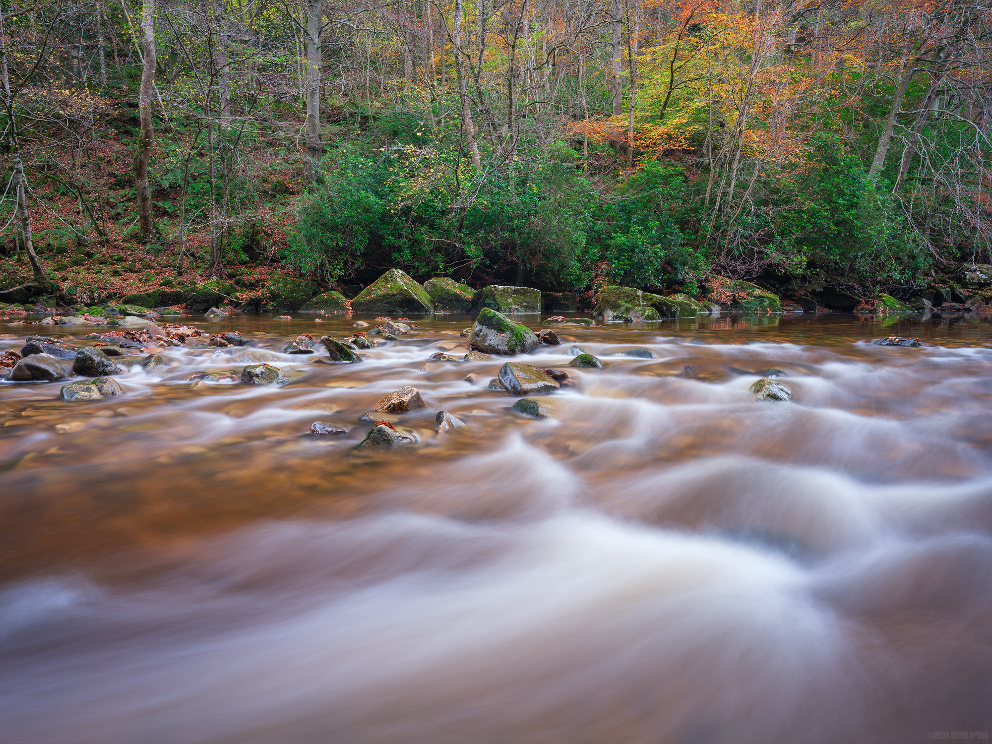 The River Allen