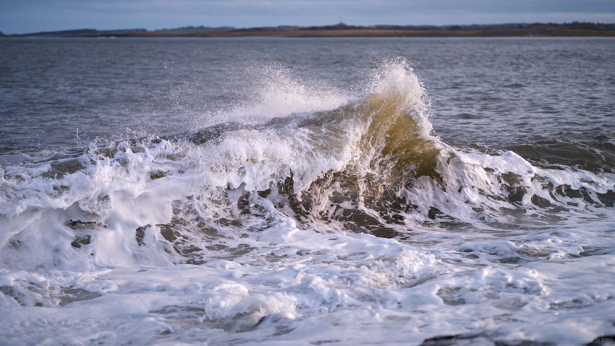 Tearing At The Shore