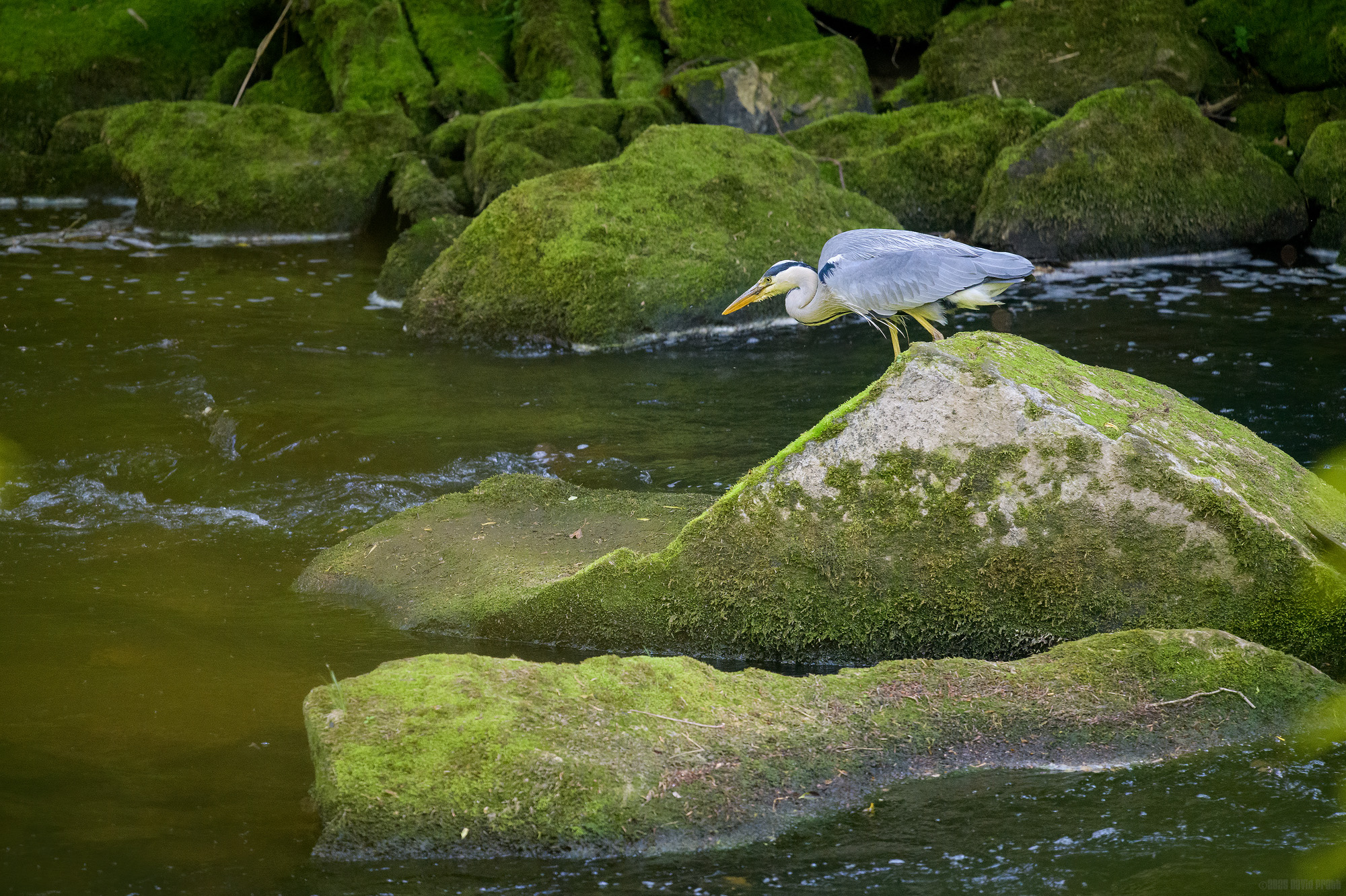 Fishing