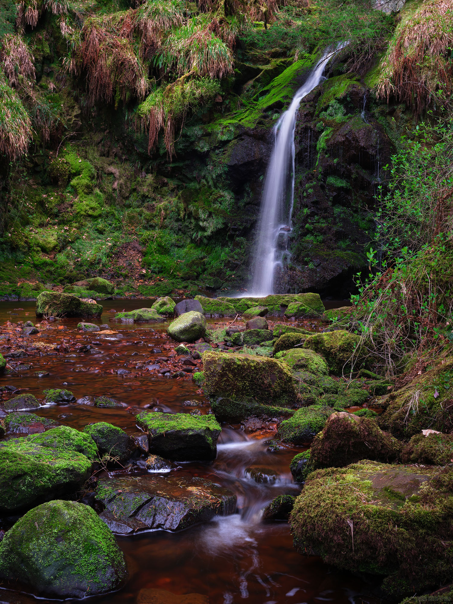 Spilling Down Moss Dark Stone