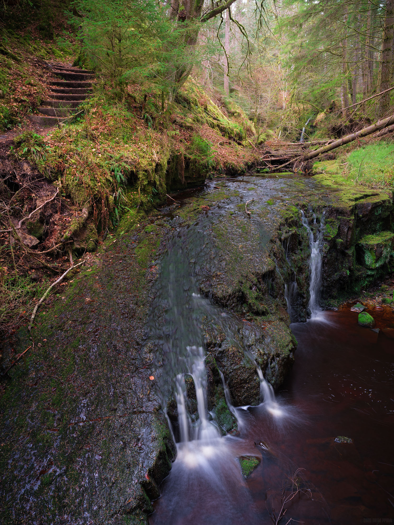 The Steps To The Falls