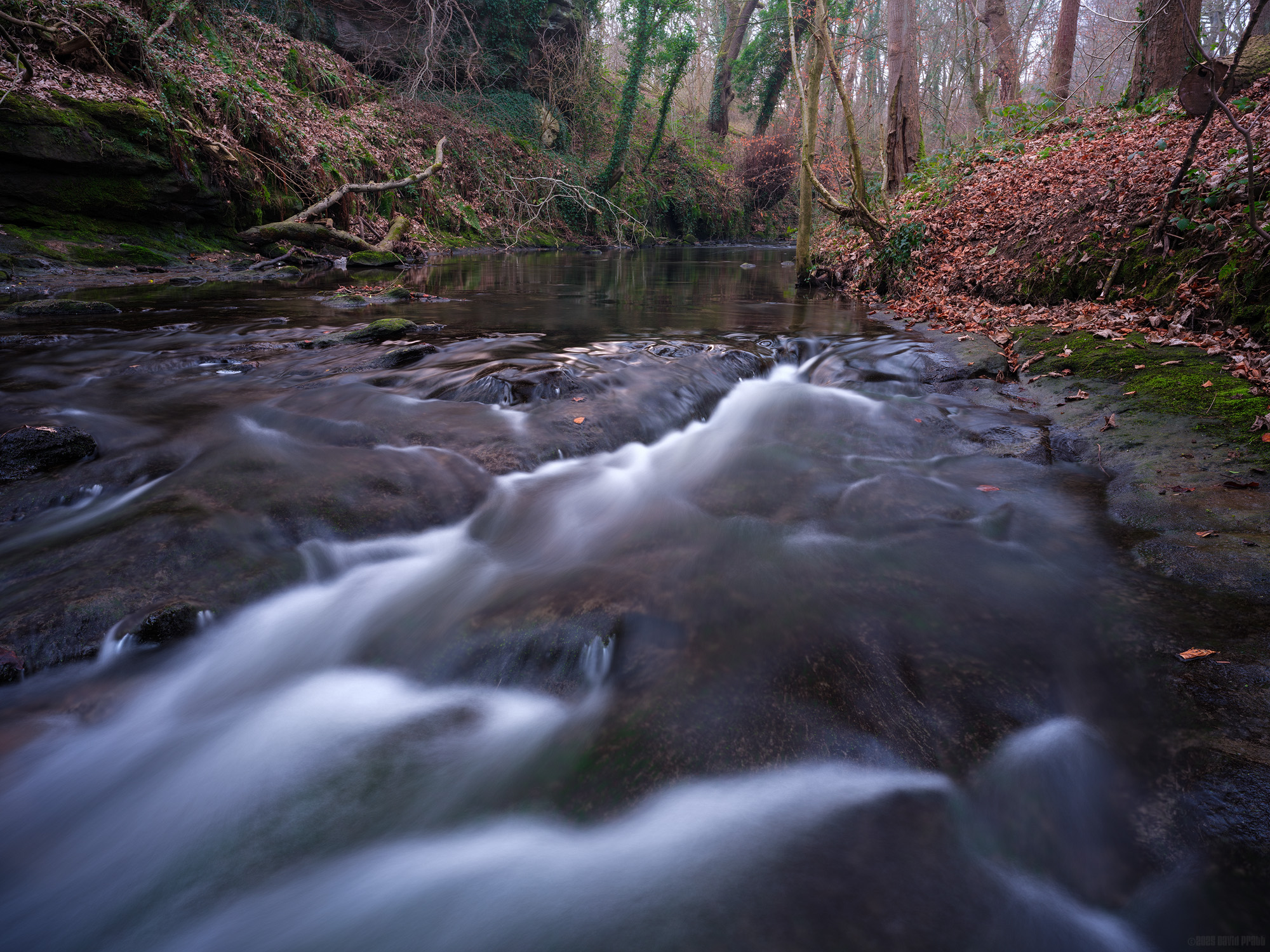 Where Water Wanders