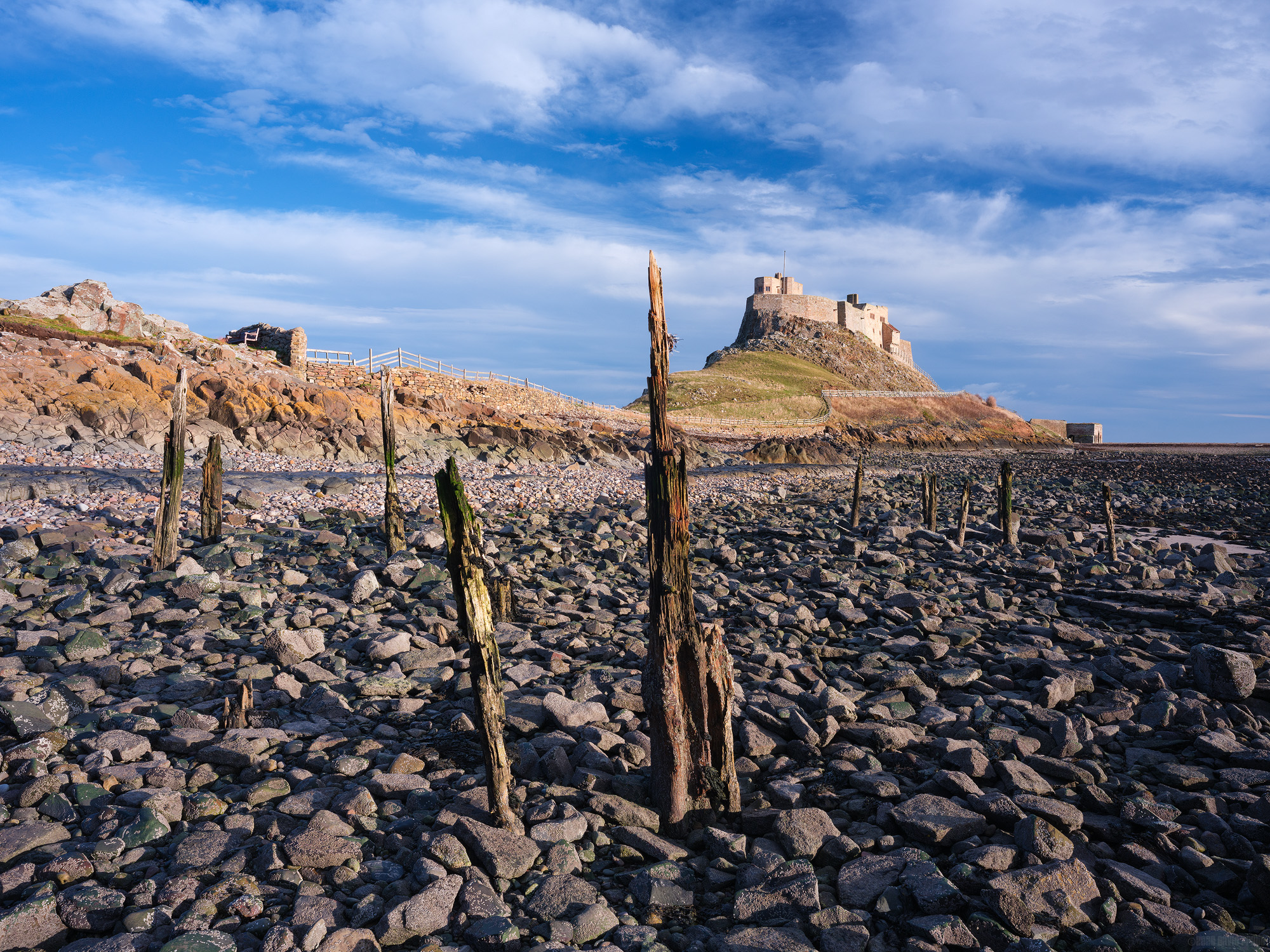 The Old Wooden Stakes