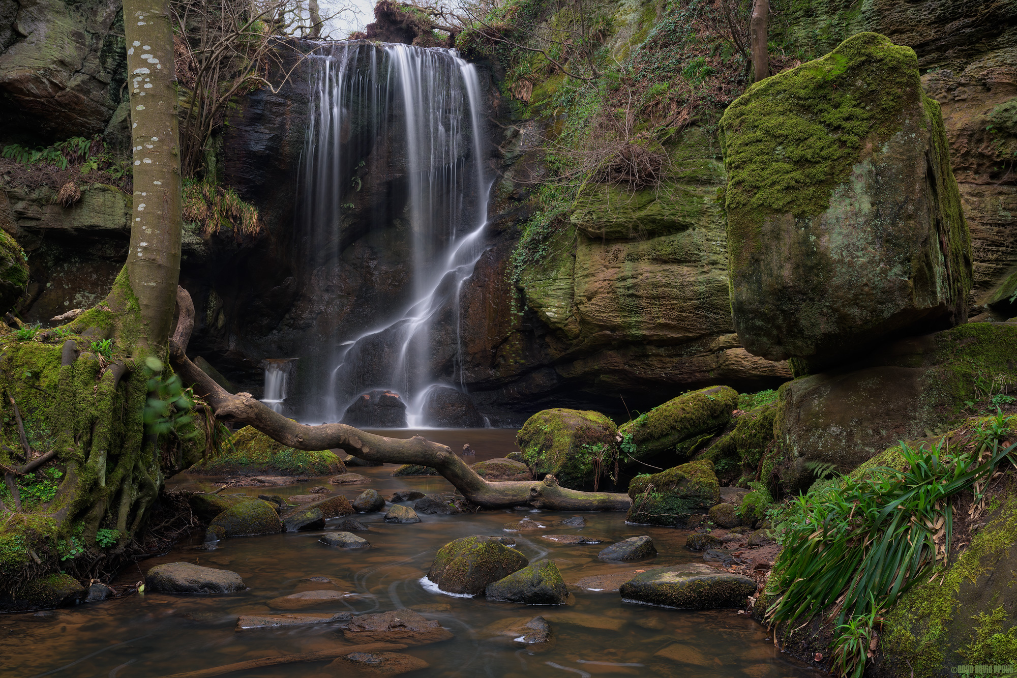 Falling Water