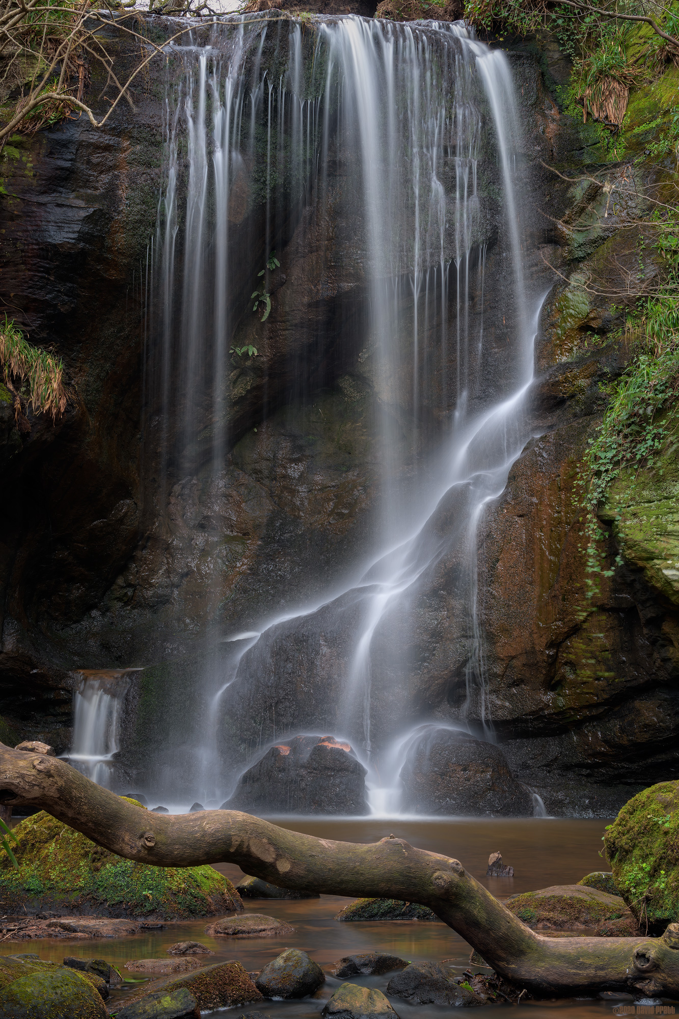 A Log Under The Falls