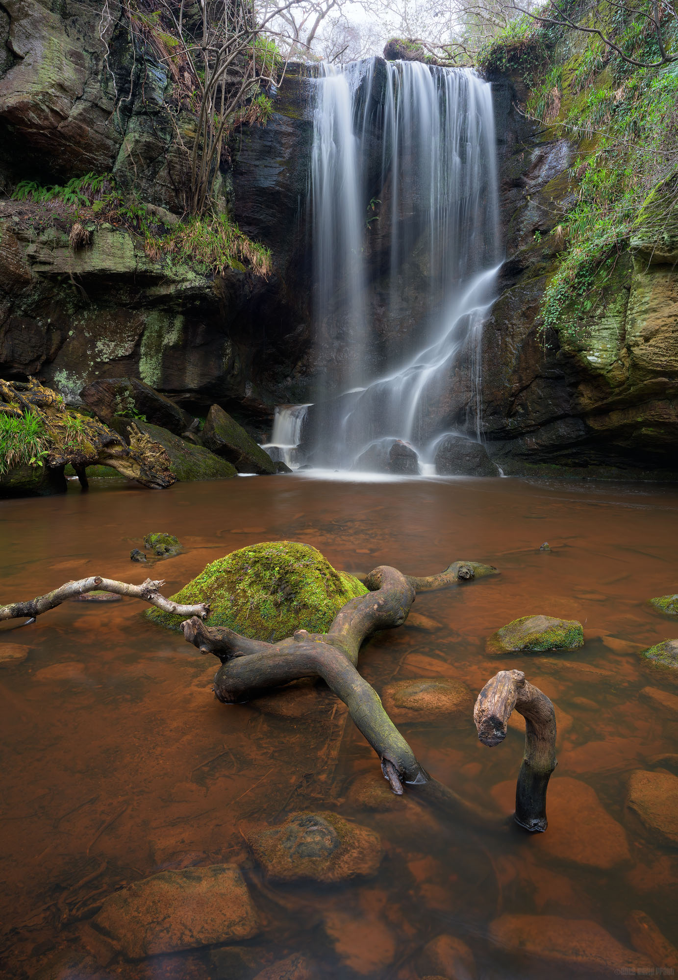 Fallen Logs and Waterfalls