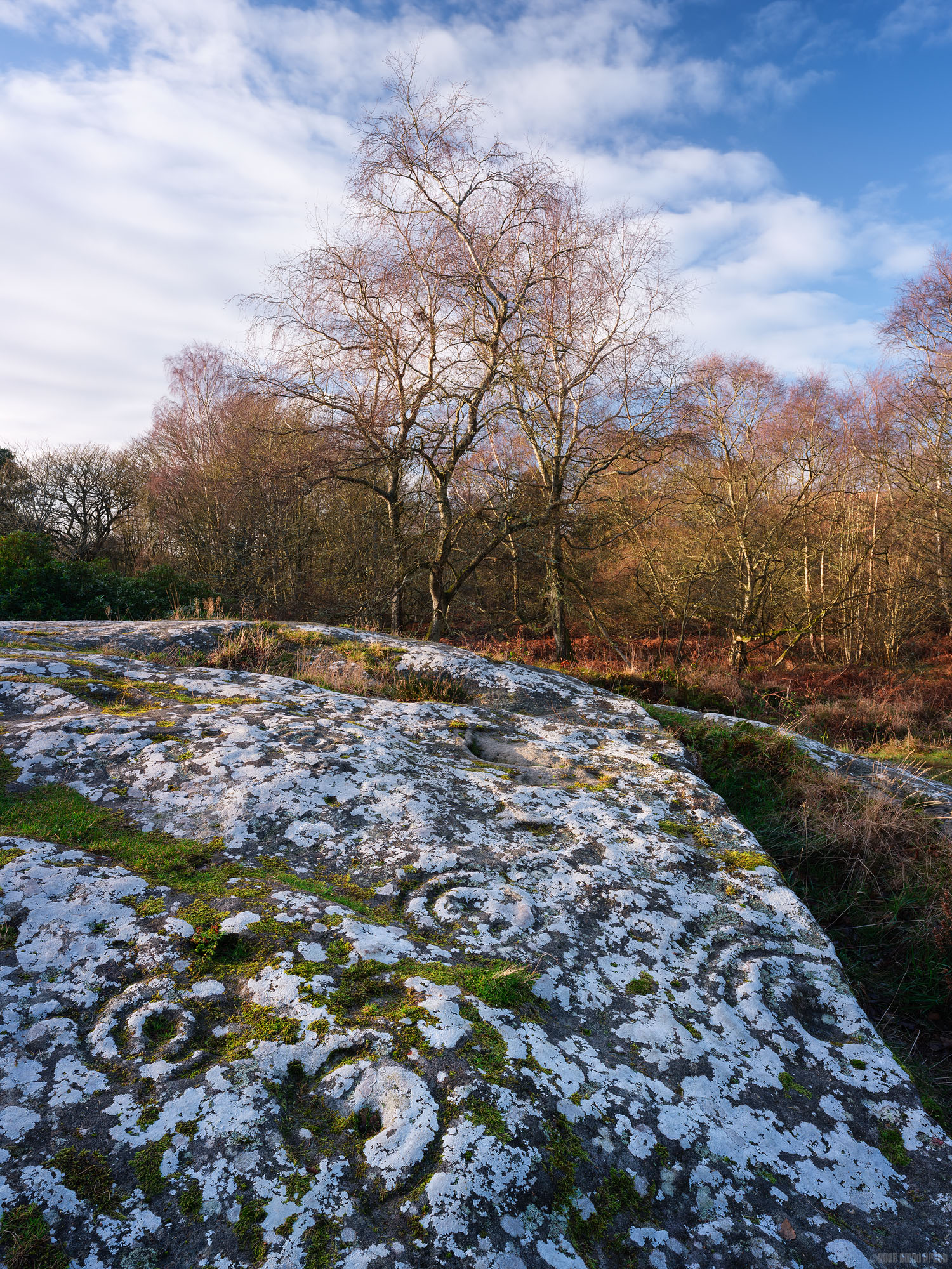 Prehistoric Carvings