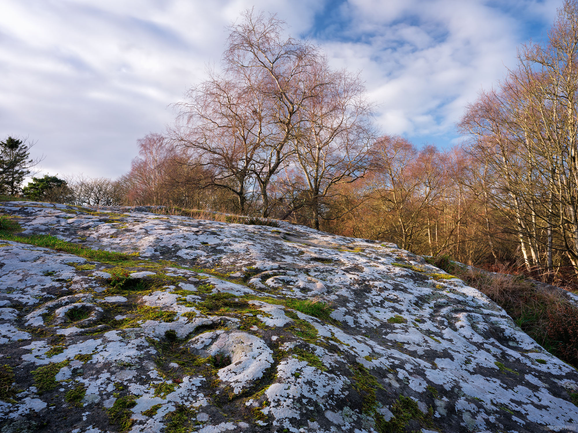 Bronze Age Rock Art