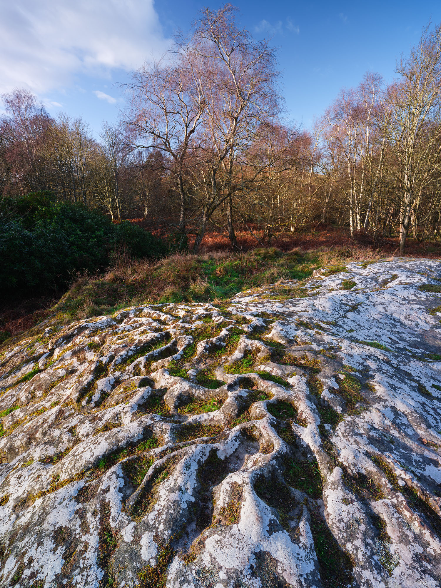 Sandstone Outcrop