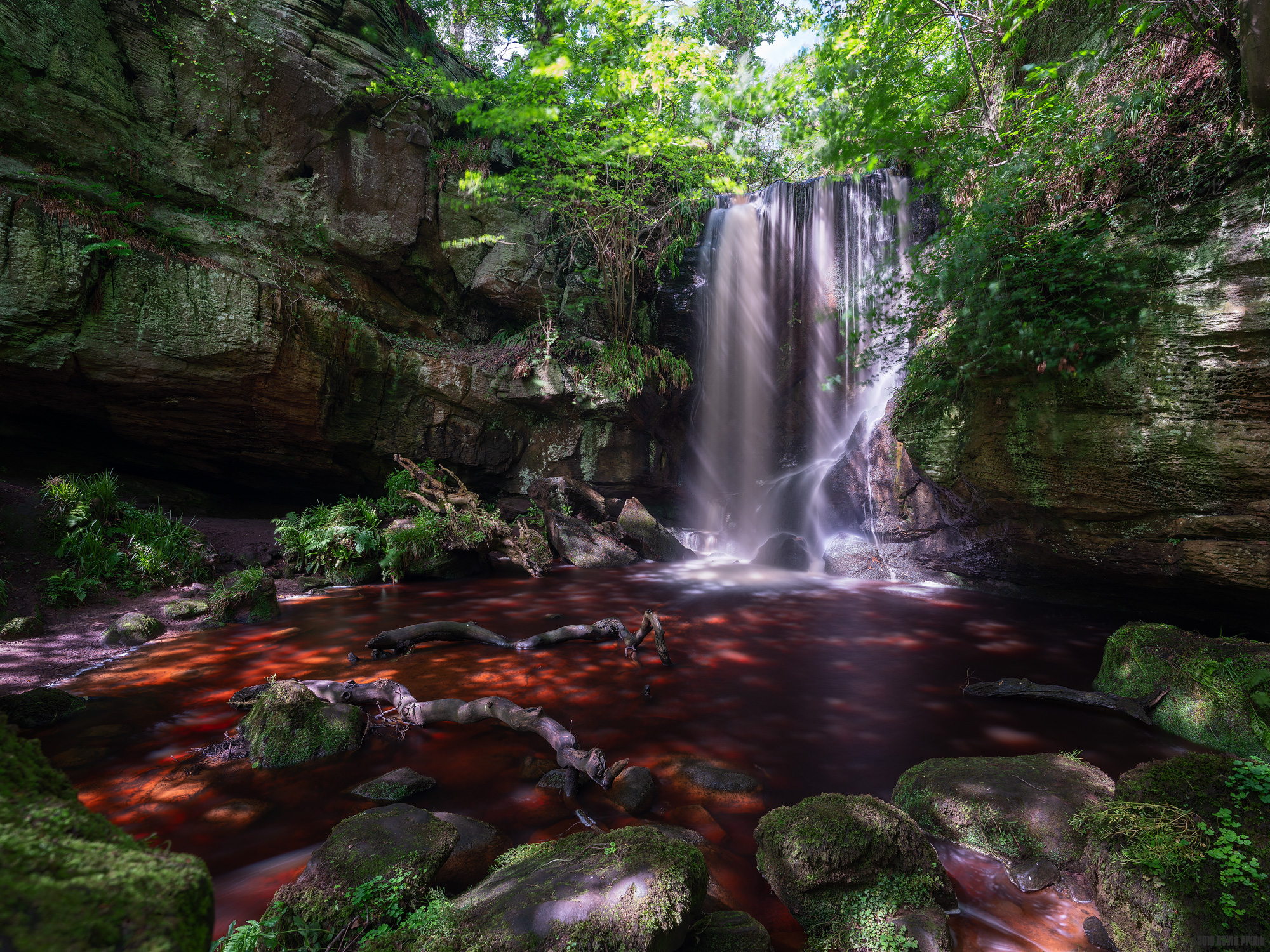 Dappled