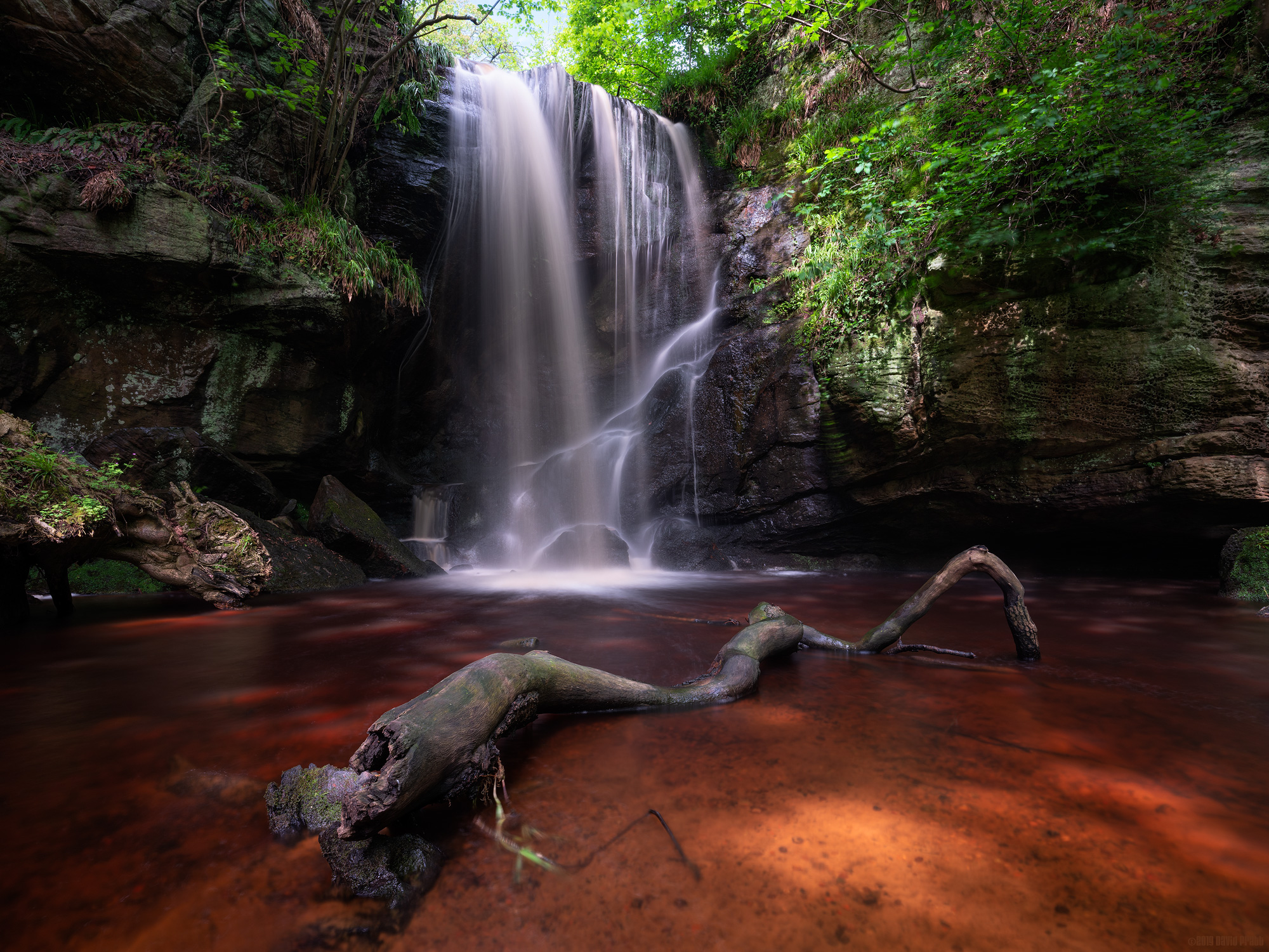 Waterfall Hollow