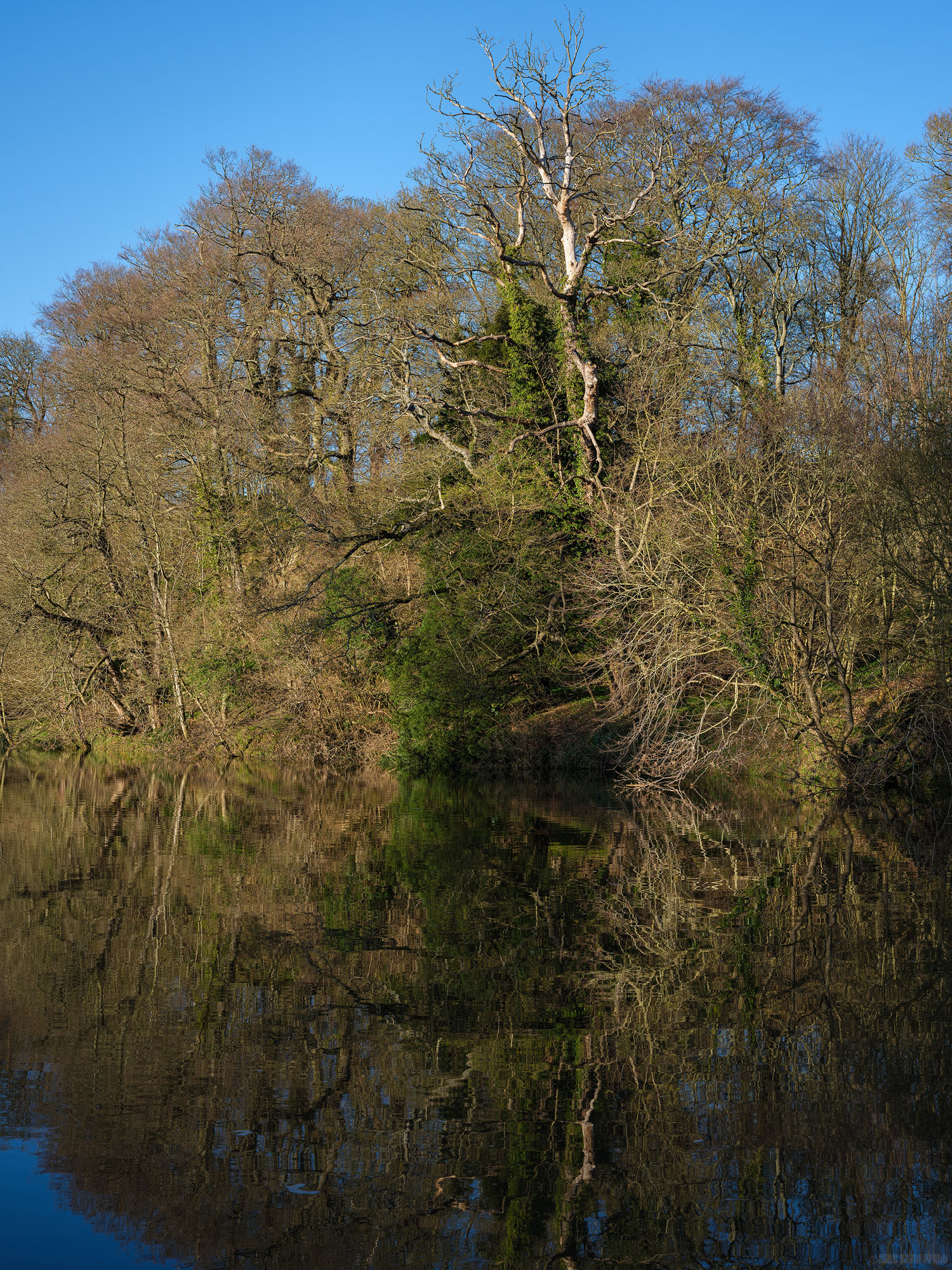 Pale Column Rising