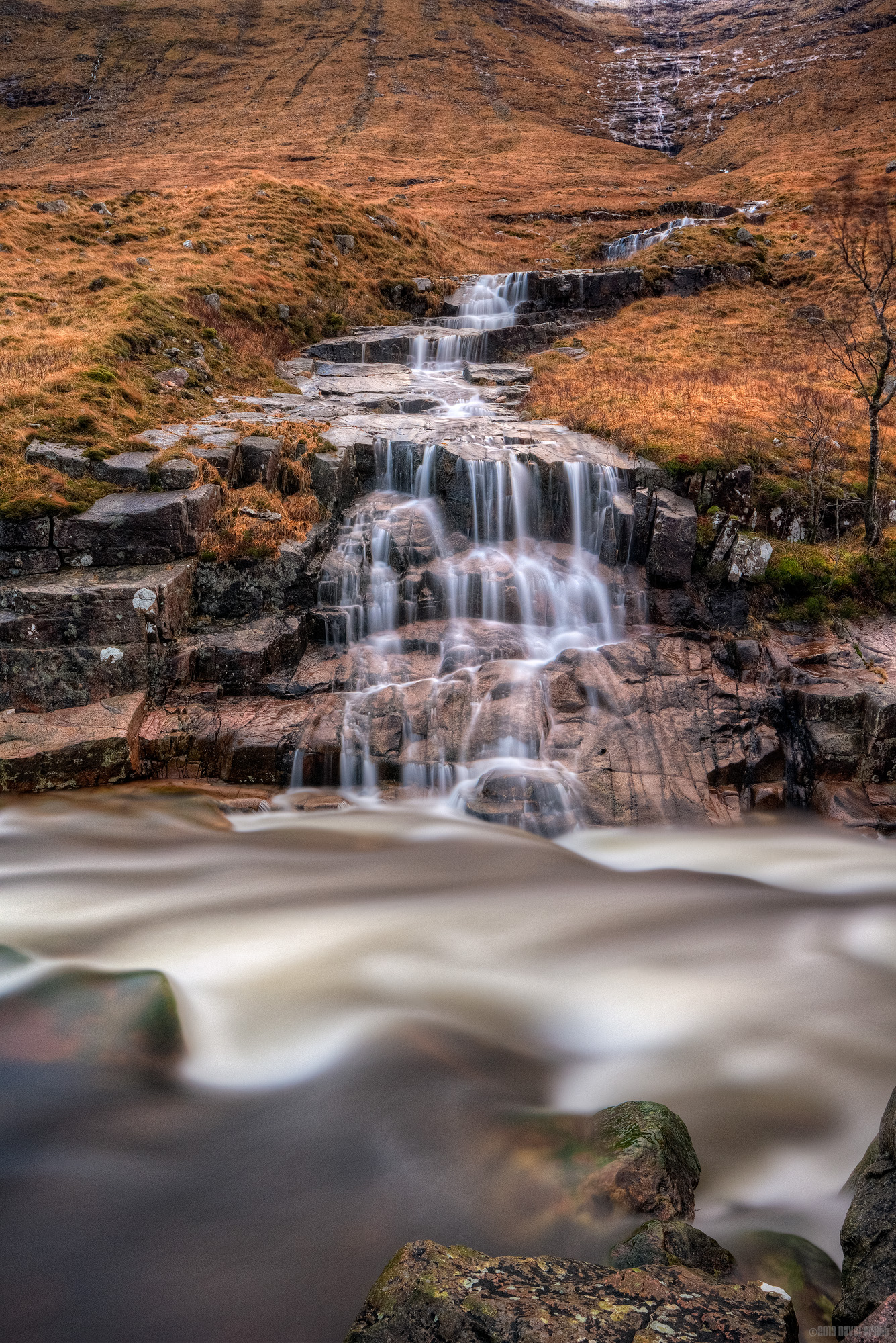Trickle And Flow