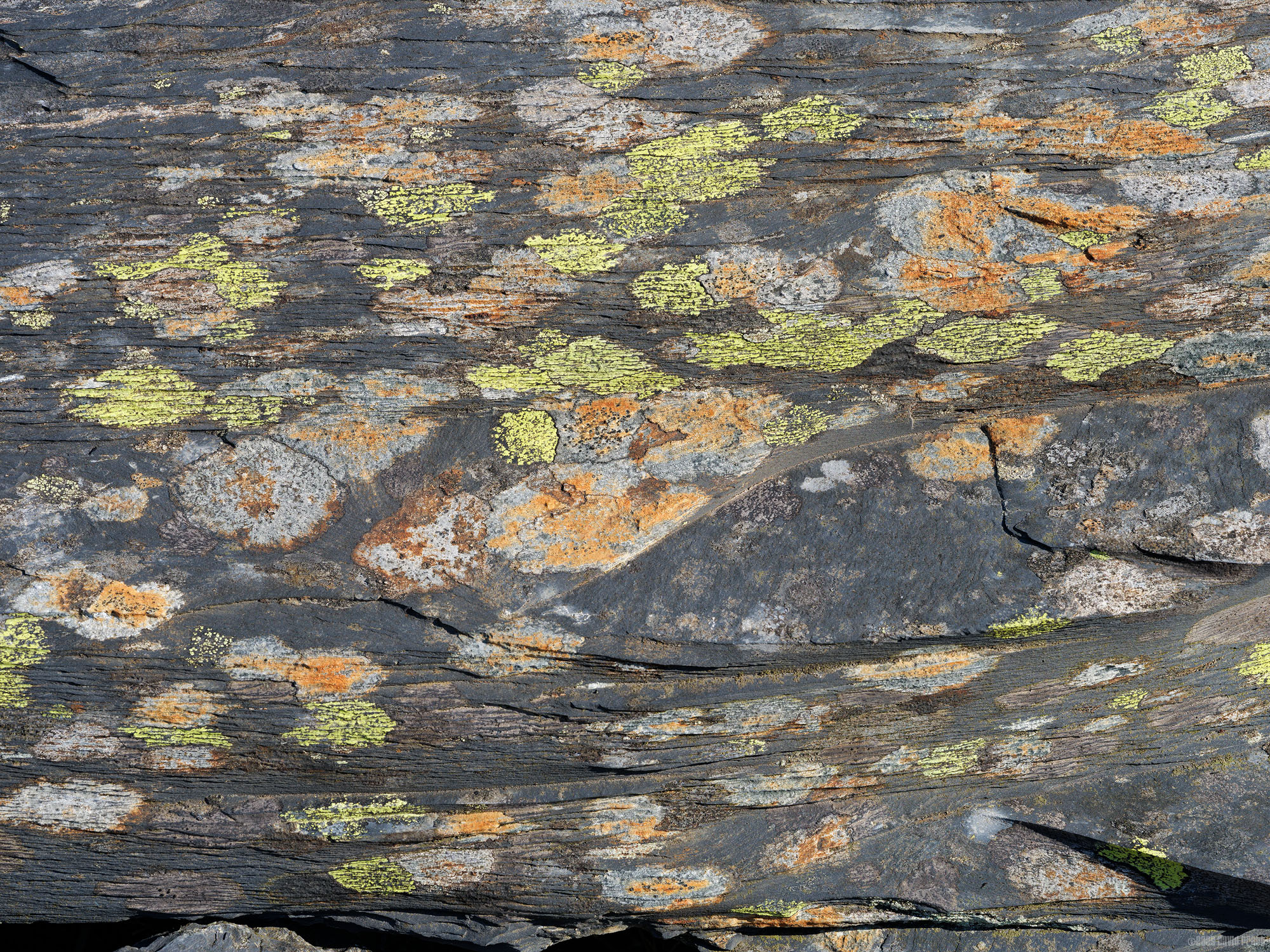 Slate and Lichen II