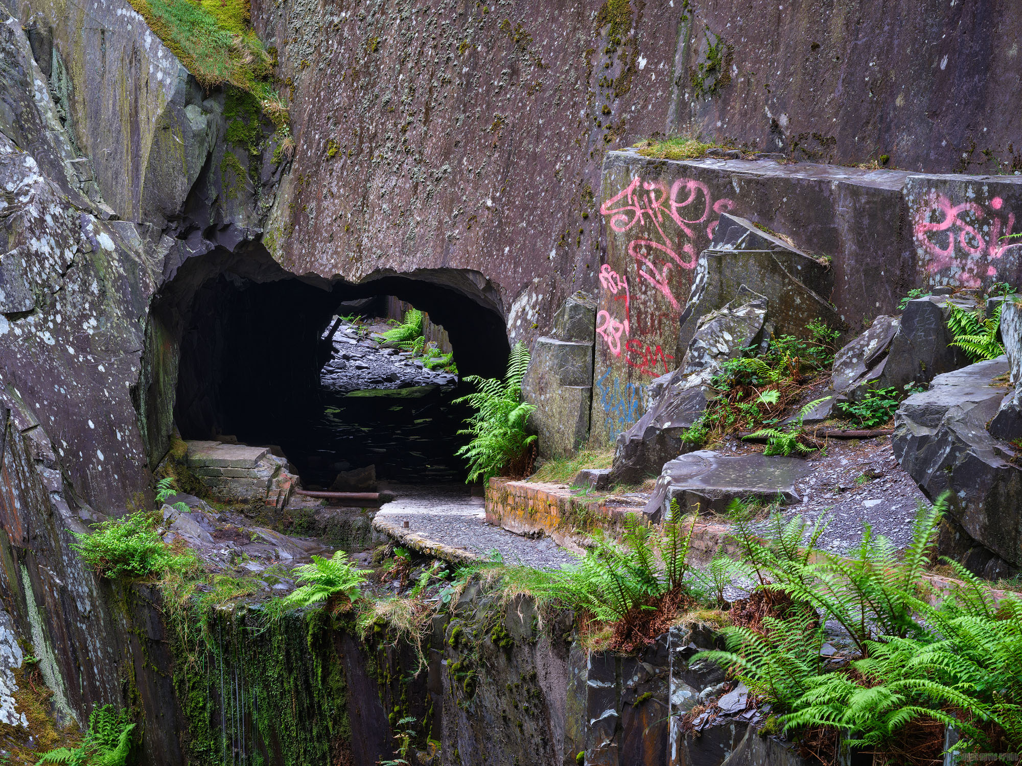 Hidden Tunnel Entrance