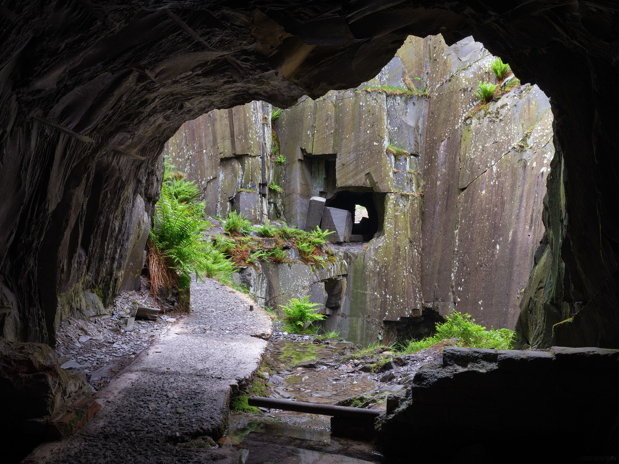 Peering Out From The Tunnel