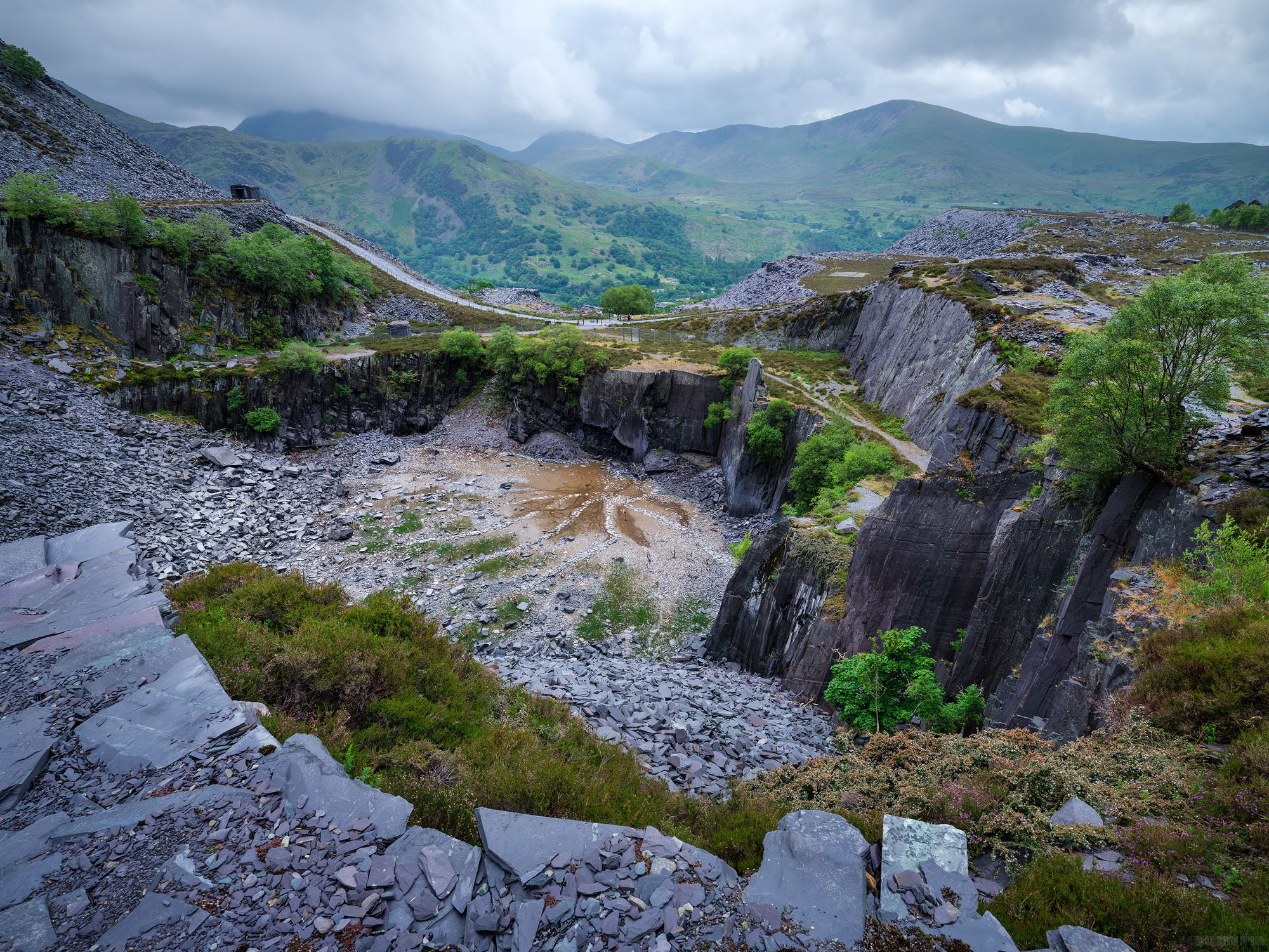 Looking Out Over Dali's Hole