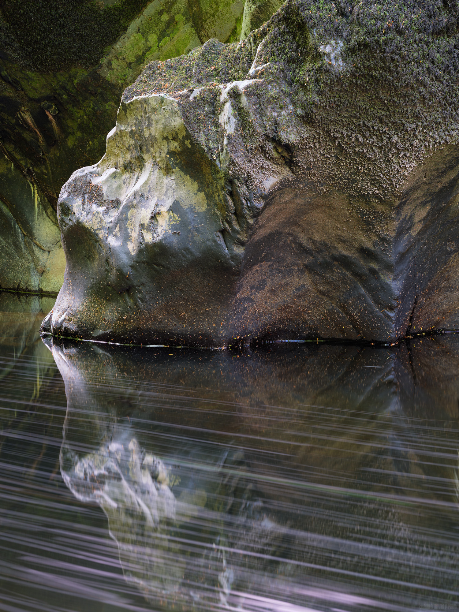 Marks From Stillness