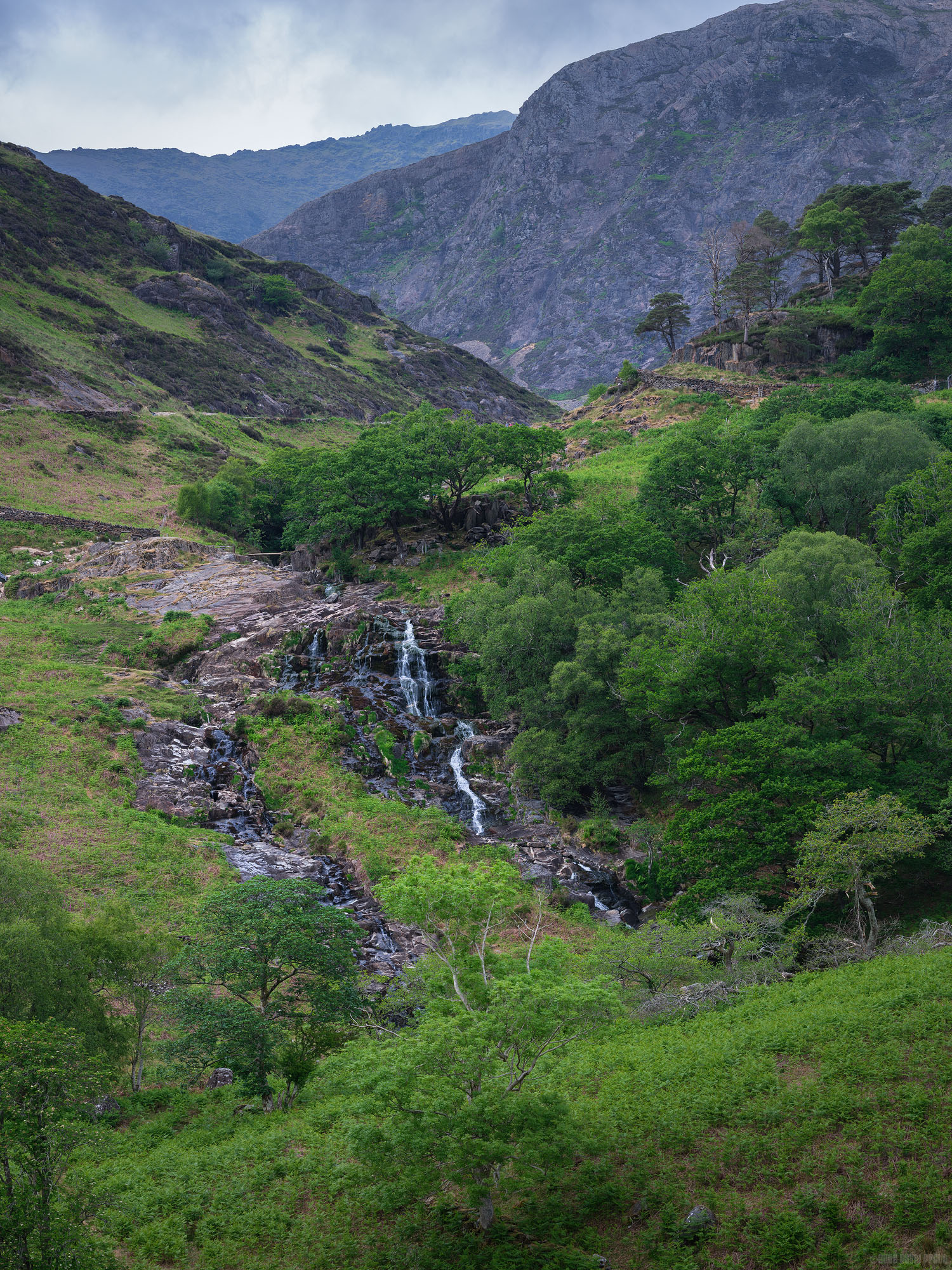 The Watkin Path Lies Ahead