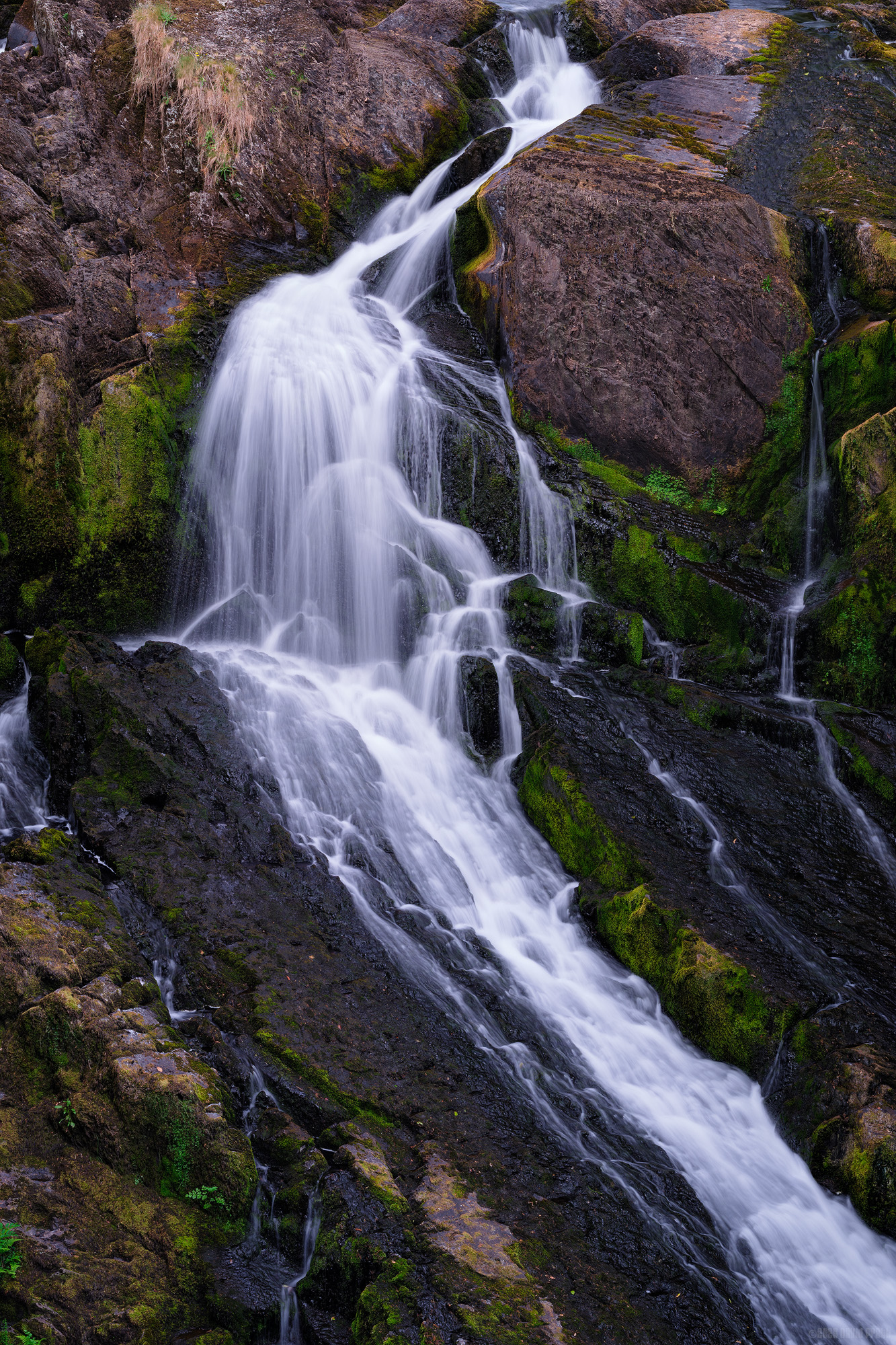 Water Will Always Find Its Way