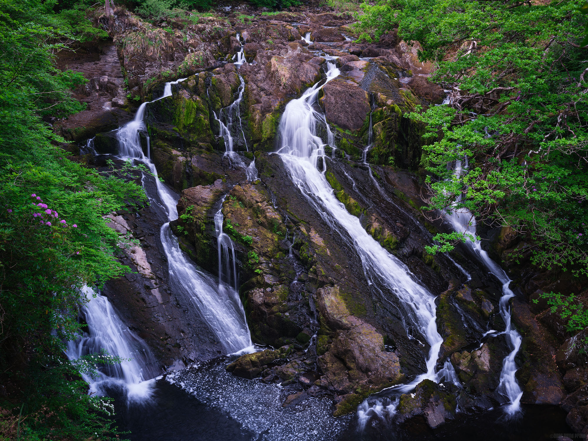 Swallow Falls