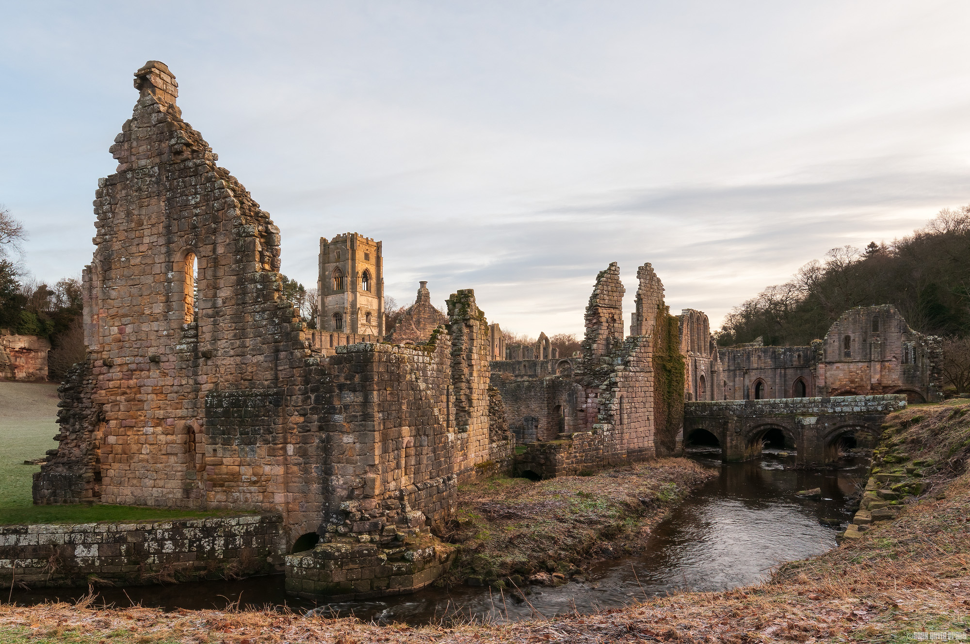 Icy Ruins
