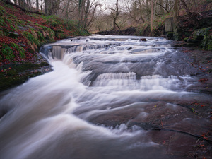 Holywell Dene