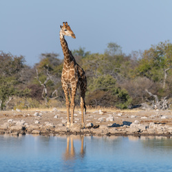 Thinking About Drinking