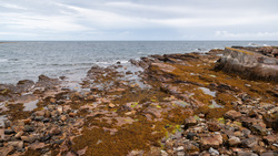 Nacker Hole