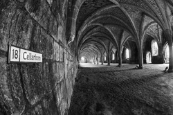 Cellarium