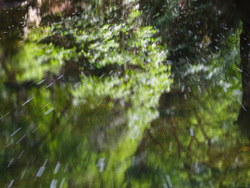 Watercolour In The River