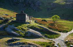 The Barracks and The Tree