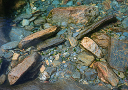 Through Crystal Clear Water