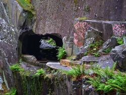 Hidden Tunnel Entrance