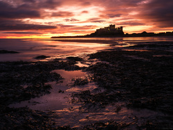 Revelling In Seaweed