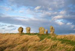 Stones In The Sun