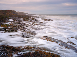 Return Me To The Tide