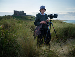 Up On The Dunes