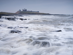 Battered By The Wind