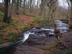 Down By The Burn