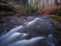 Where Water Wanders