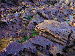 Super Slippery Seaweed
