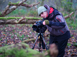 In Among The Branches