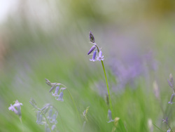 Standing Out From The Crowd
